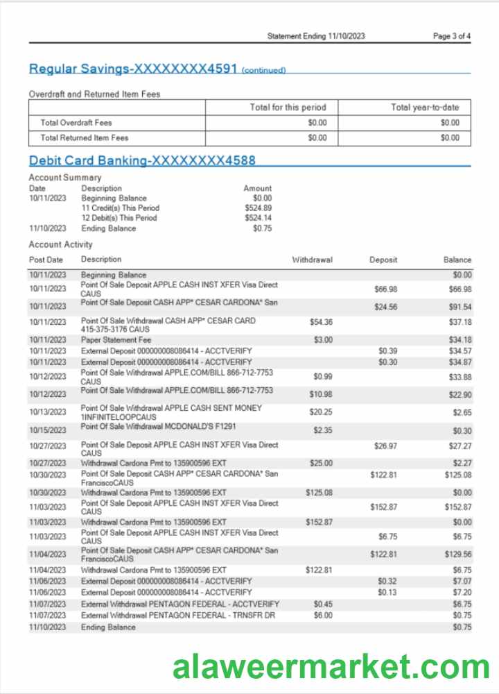 USA MidFlorida bank statement Word and PDF template, 3 pages 3
